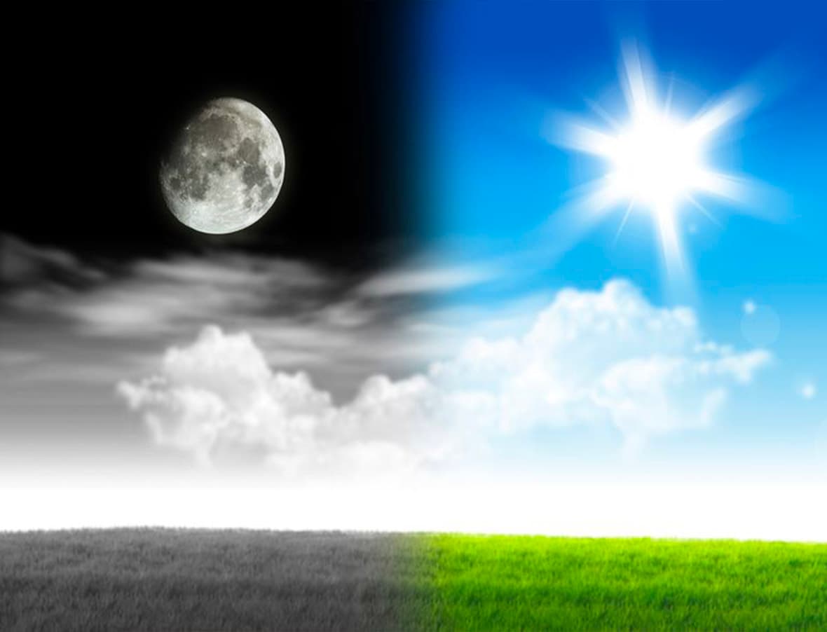 Dottoressa Mara Di Molfetta